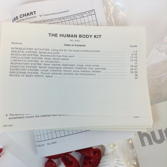 Human Body Science Kit from Educational Insights Kit #EI-2525 Teaching Tool - Picture 9 of 14